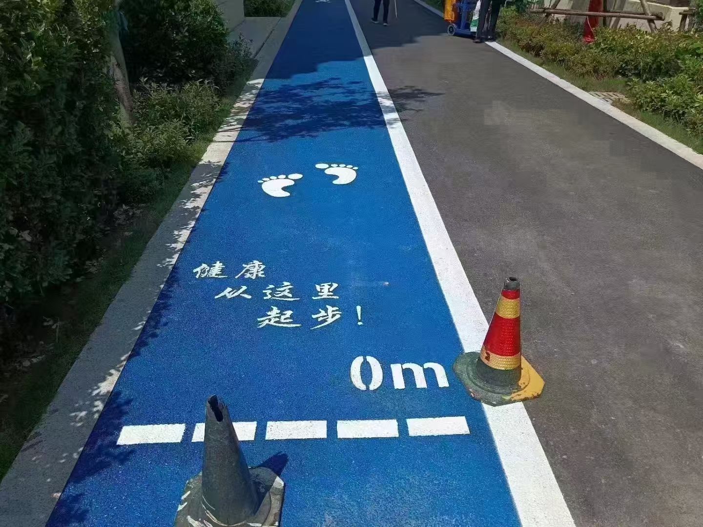 �����ܽ��ܵ����ܽ���